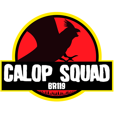 calop_squad.png