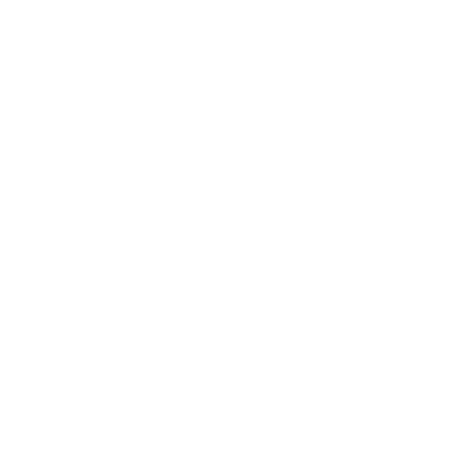 instagram-icon-white-png (1).png