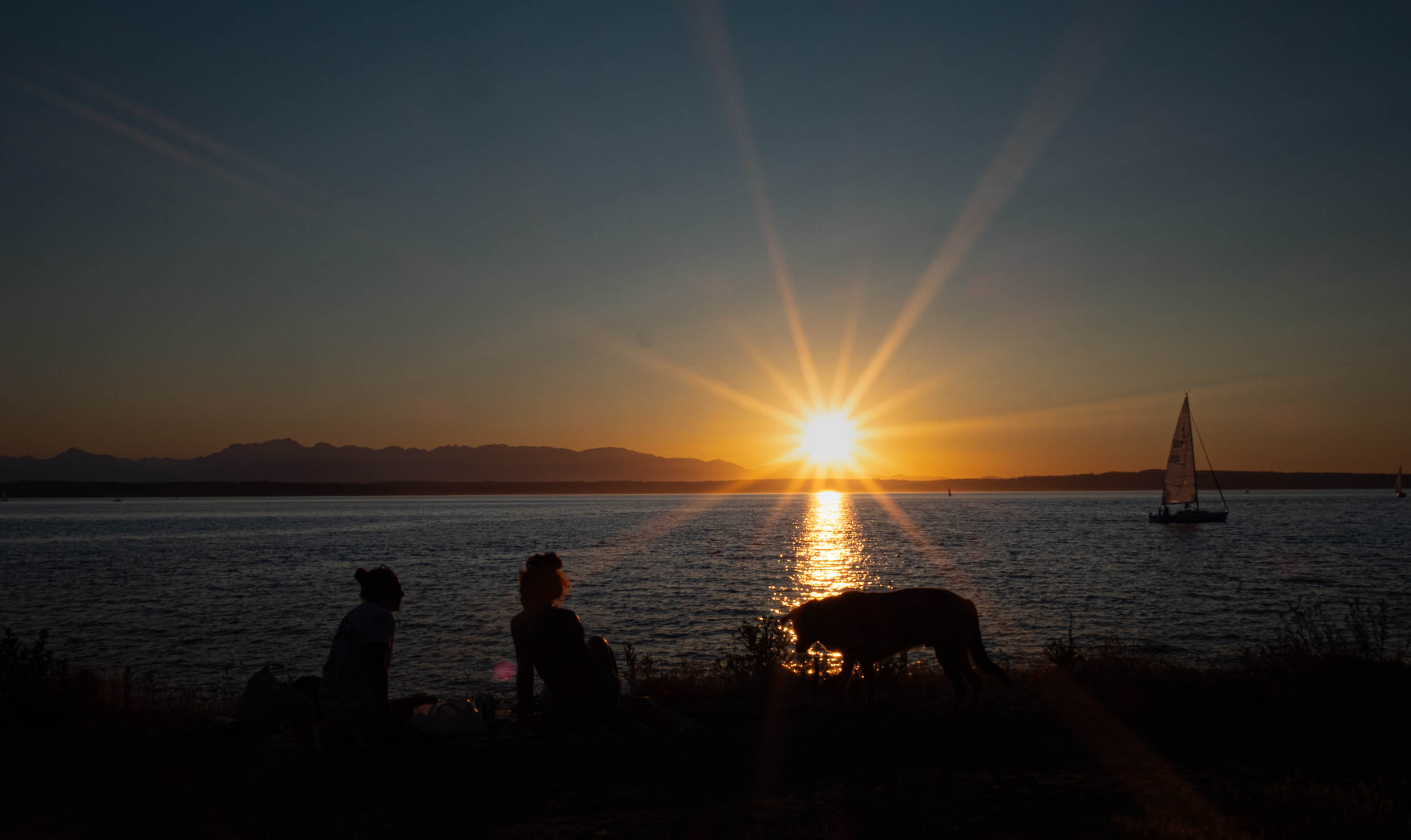 golden gardens-2.jpg