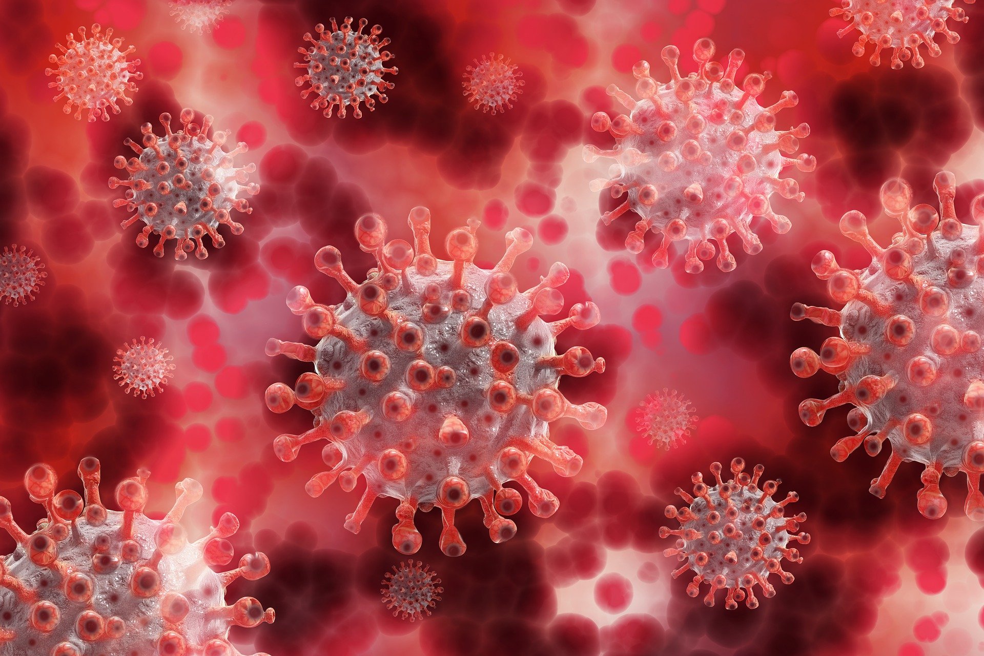 How Much Do You Know About The Coronavirus