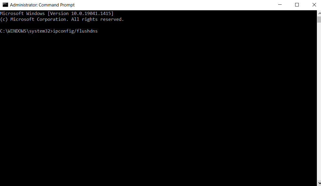 Command Prompt Flush DNS Screenshot 1