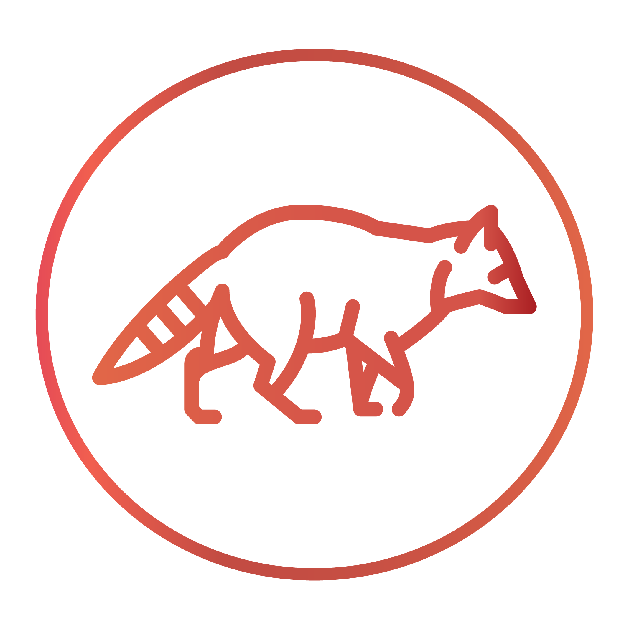 red-raccoon-logo-v1-p-01.png