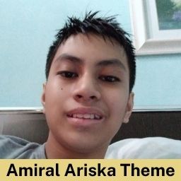 amiral ariska theme 256px.jpg