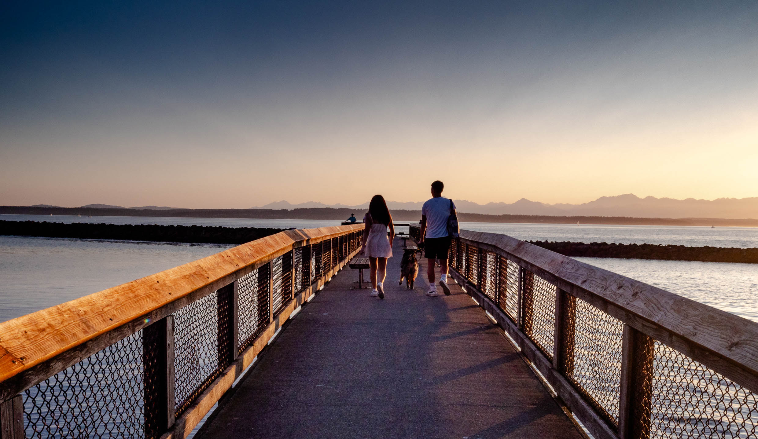 golden gardens.jpg