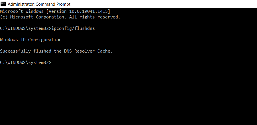 Command Prompt Flush DNS Screenshot 2