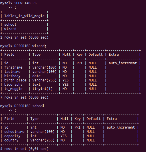 screen challenge mysql.png