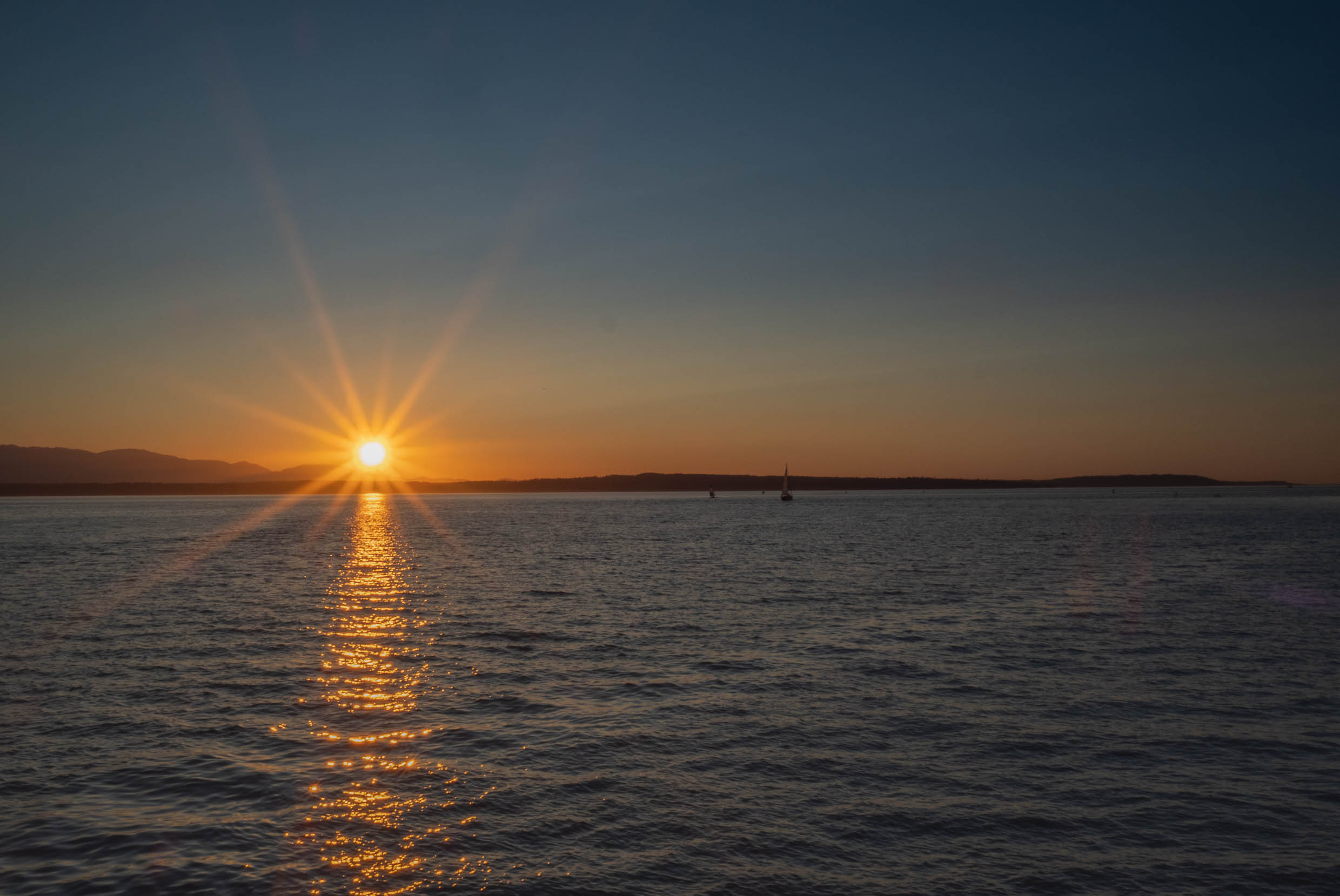 golden gardens-3.jpg